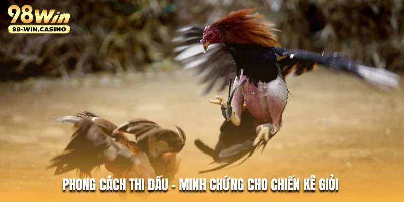 Phong cách thi đấu - Minh chứng cho chiến kê giỏi
